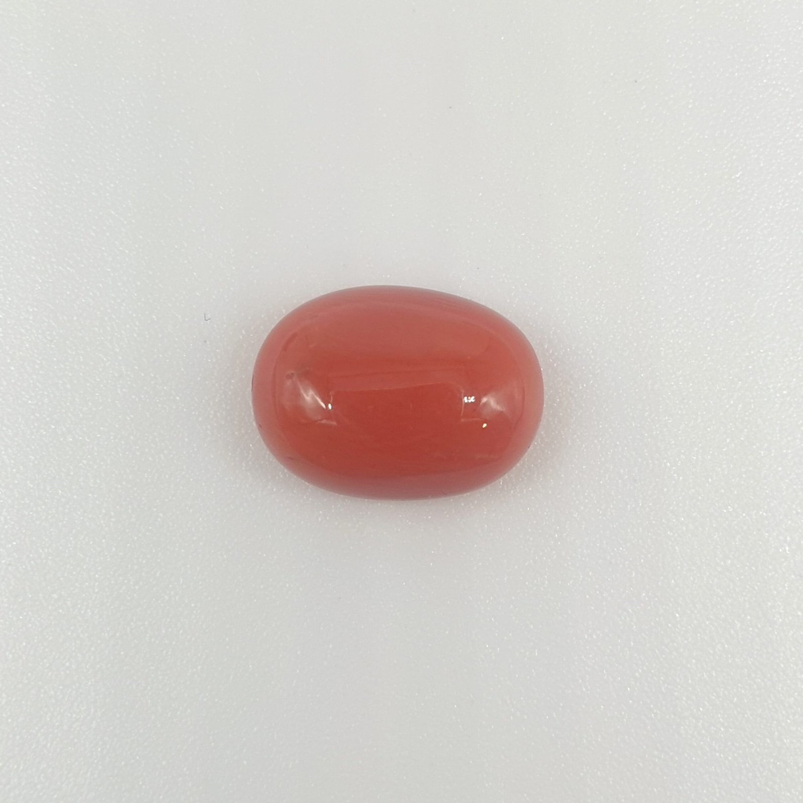 Natural Red Coral (Munga) - 4.74 Carat