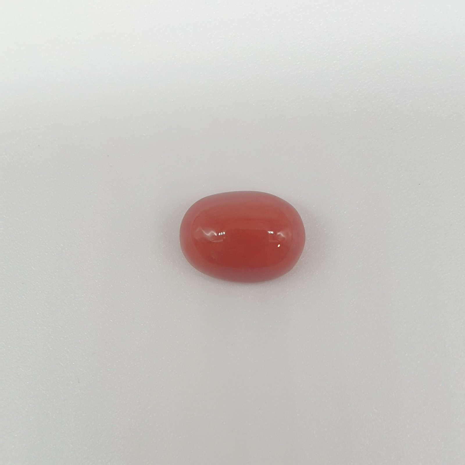 Natural Red Coral (Munga) - 4.15 Carat_2