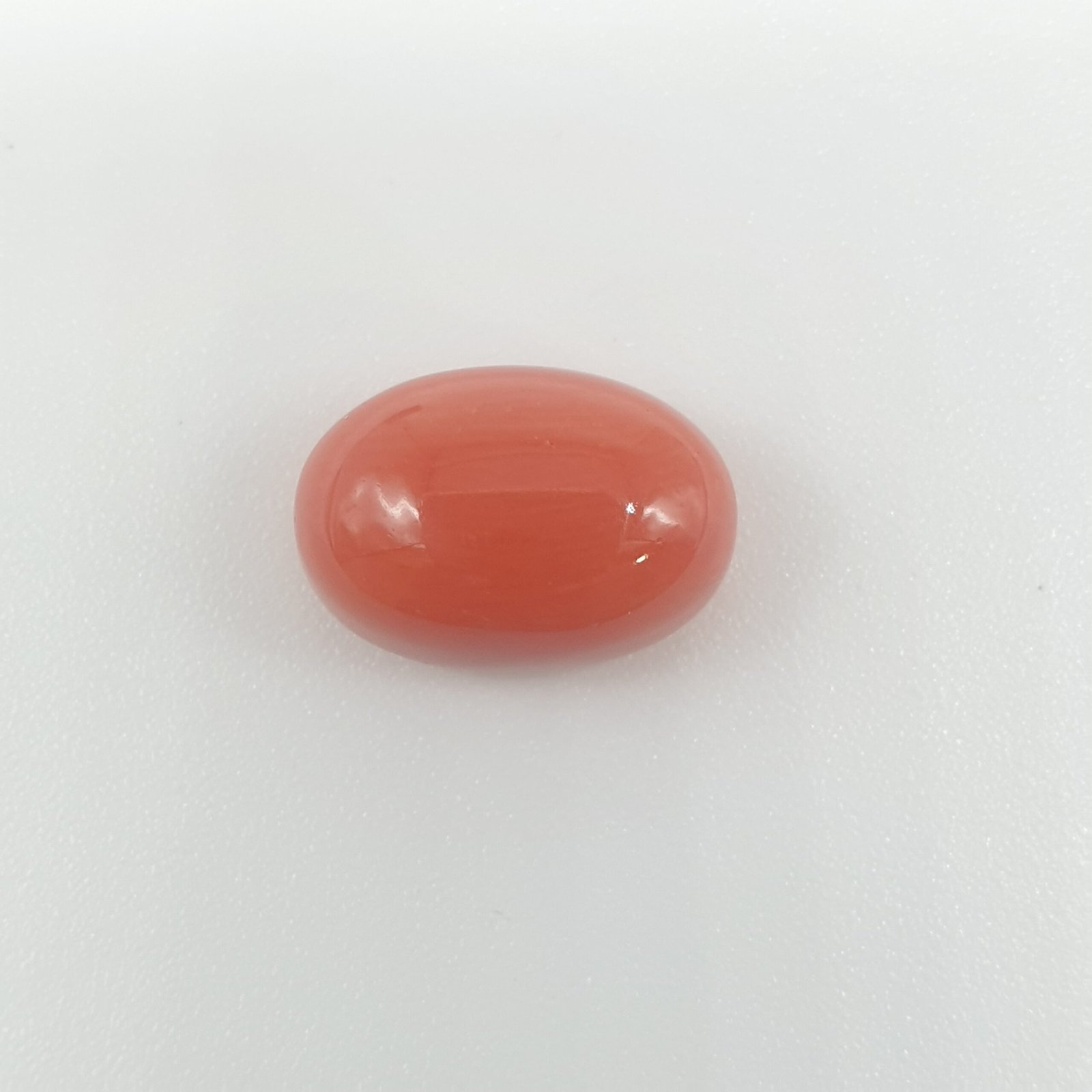 Natural Red Coral (Munga) - 5.36 Carat