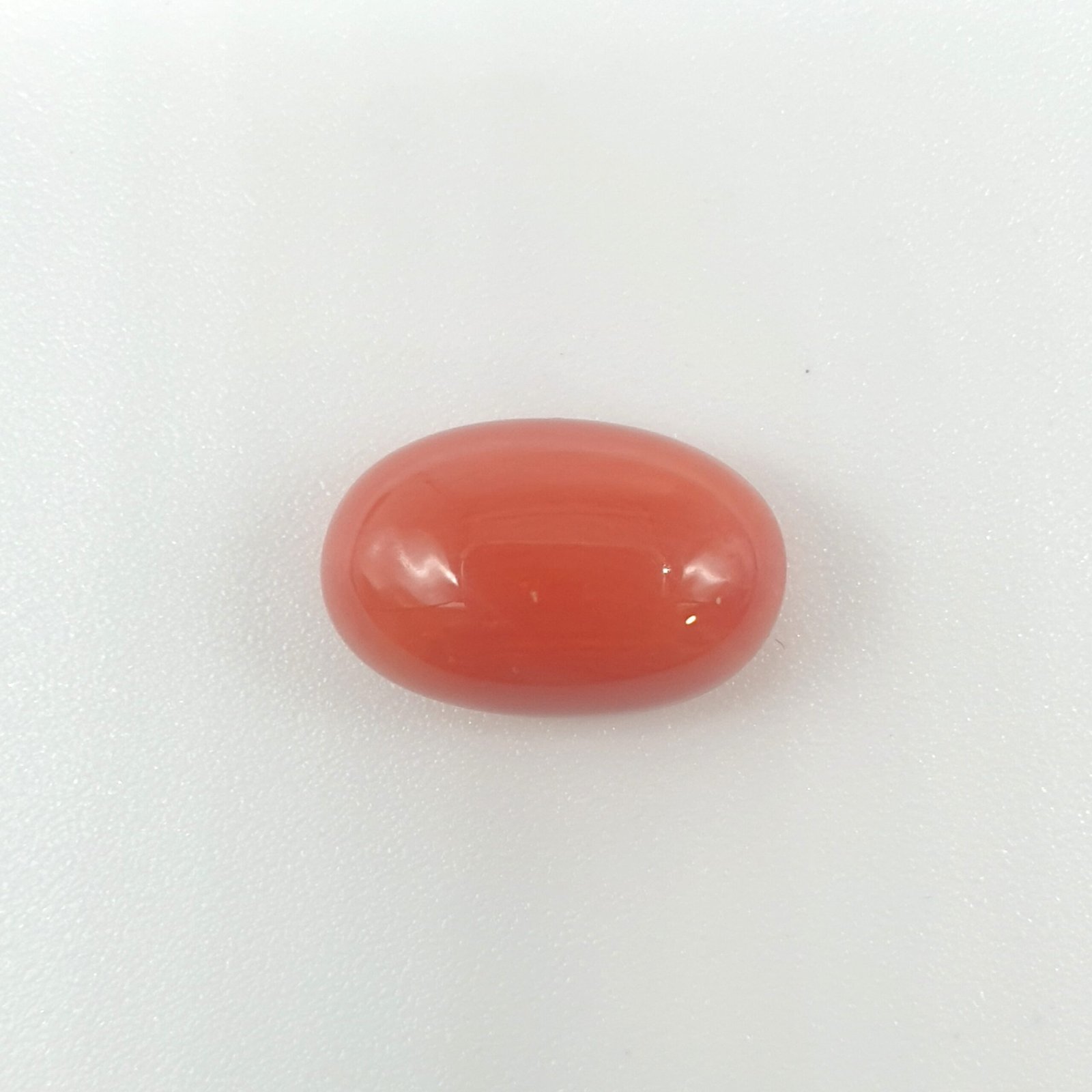 Natural Red Coral (Munga) - 5.80 Carat