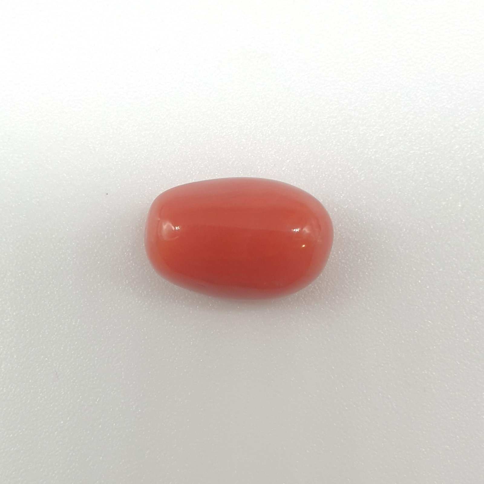 Natural Red Coral (Munga) - 5.93 Carat