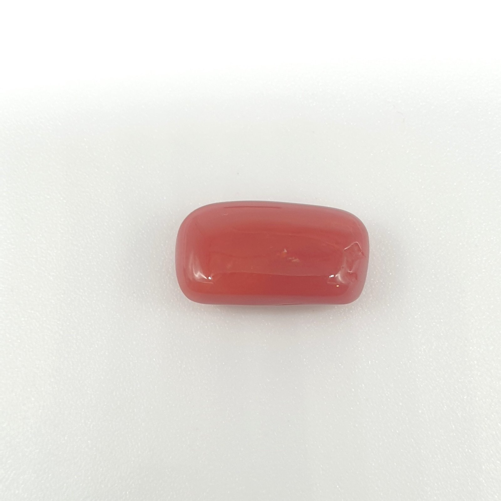 Natural Red Coral (Munga) - 6.09 Carat