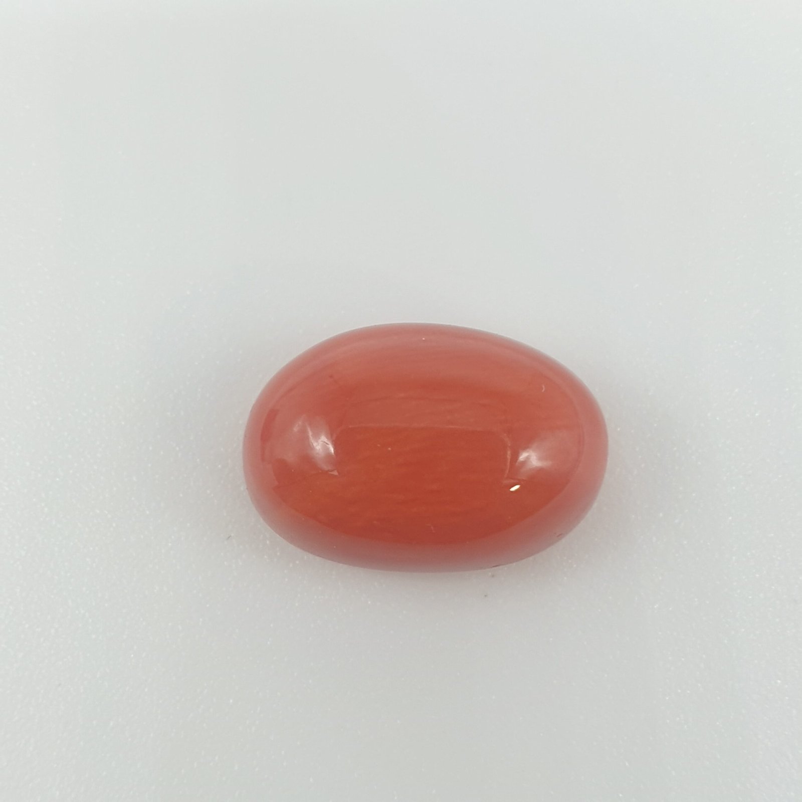 Natural Red Coral (Munga) - 6.26 Carat