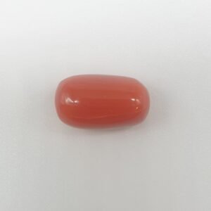 Natural Red Coral (Munga) - 15.66 Carat