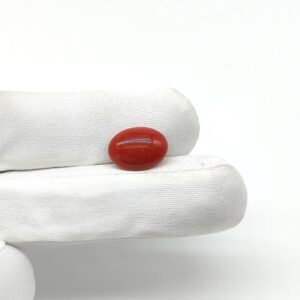 Natural & Certified Exclusive Red Coral (Munga) - 4.43 Carat