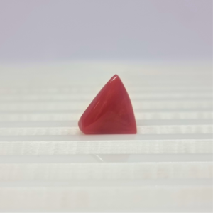 Natural Red Coral ( Munga ) - 4.96 Carat