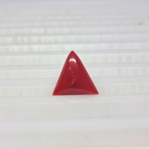 Natural Red Coral ( Munga ) - 4.46 Carat