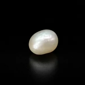 Natural Pearl (Moti) - 5.29 Carat
