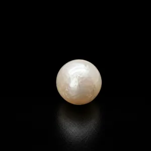 Natural Pearl (Moti) - 5.22 Carat