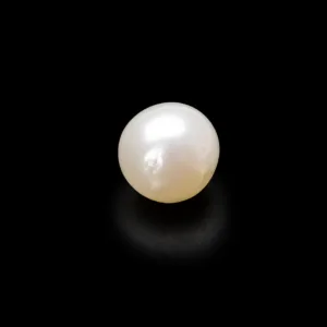 Natural Pearl (Moti) - 4.31 Carat