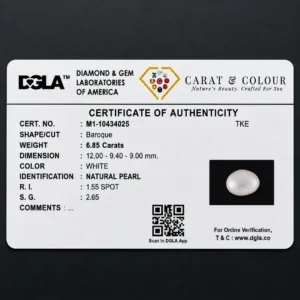 Natural Pearl (Moti) - 6.85 Carat