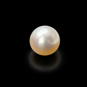 Natural Pearl (Moti) - 5.28 Carat