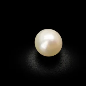 Natural Pearl (Moti) - 6.69 Carat