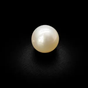 Natural Pearl (Moti) - 6.52 Carat