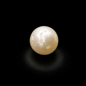 Natural Pearl (Moti) - 4.92 Carat