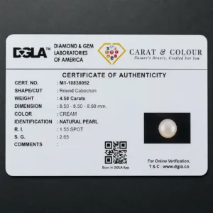 Natural Pearl (Moti) - 4.58 Carat