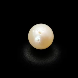 Natural Pearl (Moti) - 4.57 Carat
