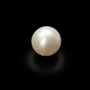 Natural Pearl (Moti) - 5.77 Carat