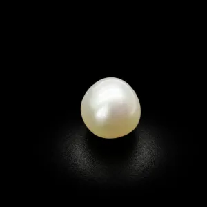 Natural Pearl (Moti) - 6.52 Carat