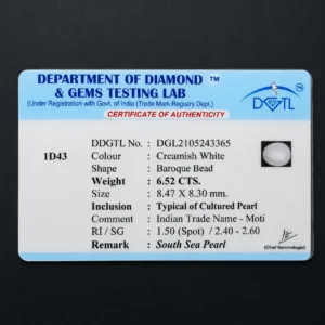 Natural Pearl (Moti) - 6.52 Carat