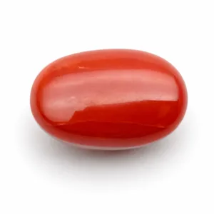 Natural Red Coral (Moonga) - 7.2 Carat