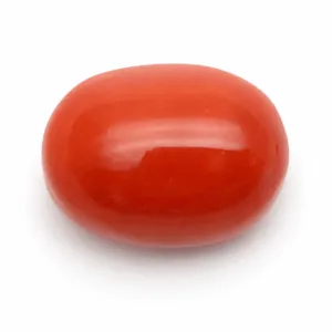 Natural Red Coral (Moonga) - 4.15 Carat