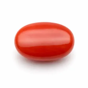 Natural Red Coral (Moonga) - 5.8 Carat