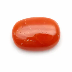 Natural Red Coral (Moonga) - 4.08 Carat