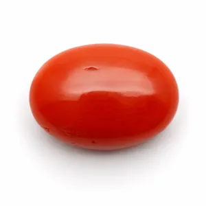 Natural Red Coral (Moonga) - 5.07 Carat