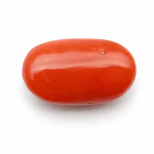 Natural Red Coral (Moonga) - 6.85 Carat