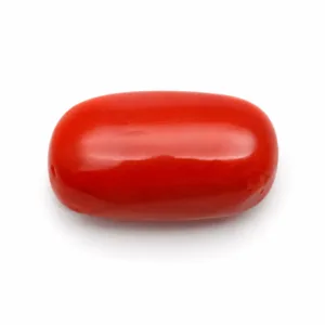 Natural Red Coral (Moonga) - 6.17 Carat