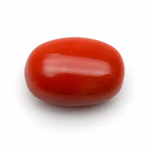 Natural Red Coral (Moonga) - 6.15 Carat