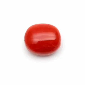 Natural Red Coral (Moonga) - 6.1 Carat