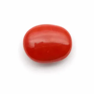 Natural Red Coral (Moonga) - 6.24 Carat