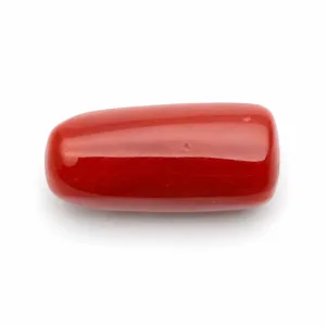 Natural Red Coral (Moonga) - 6.68 Carat