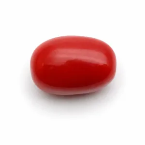 Natural Red Coral (Moonga) - 7 Carat